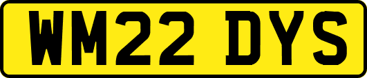WM22DYS