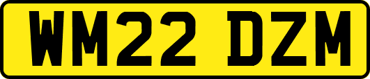 WM22DZM