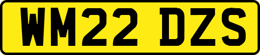 WM22DZS