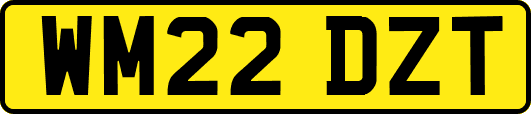 WM22DZT