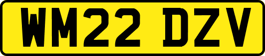 WM22DZV