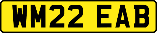WM22EAB