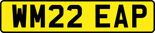 WM22EAP