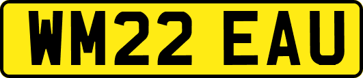 WM22EAU