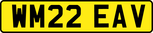 WM22EAV