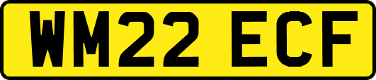 WM22ECF