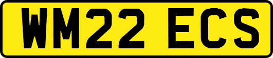 WM22ECS
