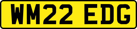 WM22EDG