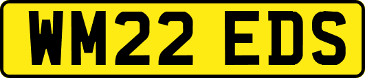 WM22EDS