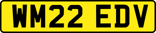 WM22EDV