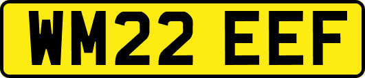 WM22EEF