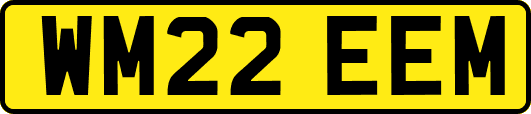 WM22EEM