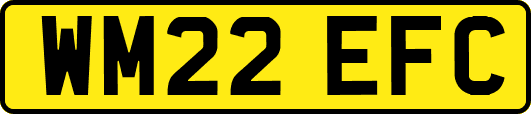WM22EFC