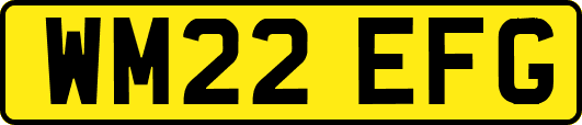 WM22EFG