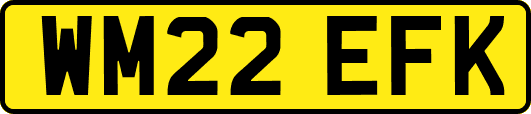 WM22EFK