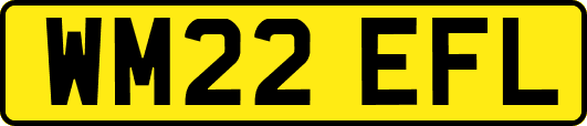 WM22EFL