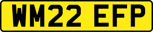 WM22EFP