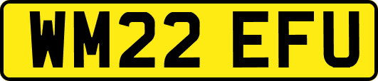 WM22EFU
