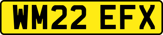 WM22EFX
