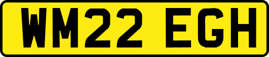 WM22EGH