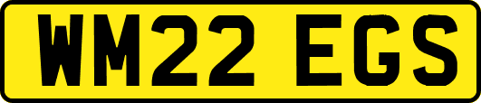 WM22EGS
