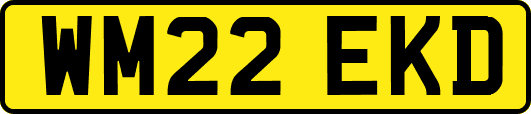 WM22EKD