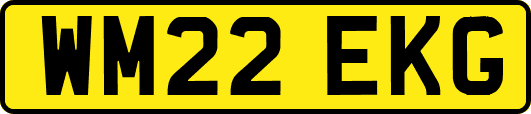 WM22EKG