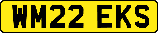 WM22EKS
