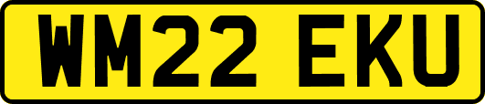 WM22EKU