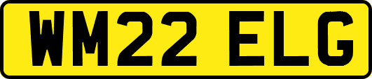 WM22ELG