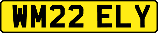 WM22ELY