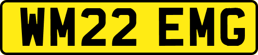 WM22EMG