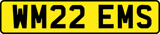 WM22EMS