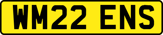 WM22ENS