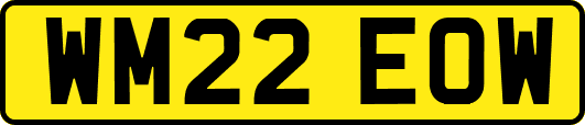 WM22EOW