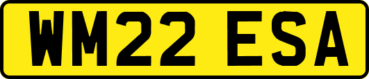 WM22ESA