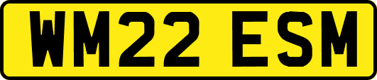 WM22ESM
