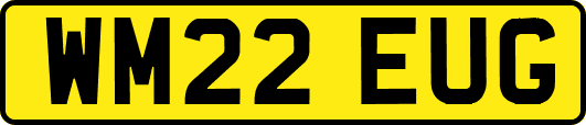 WM22EUG