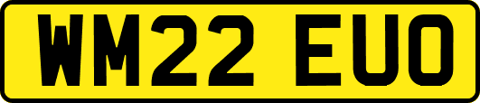 WM22EUO