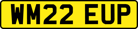 WM22EUP