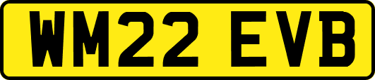 WM22EVB