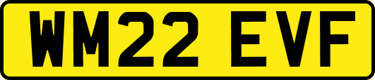 WM22EVF