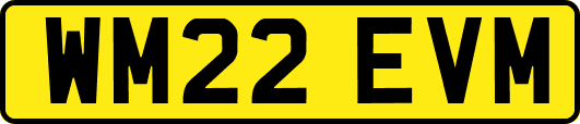 WM22EVM
