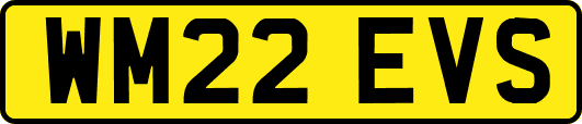 WM22EVS