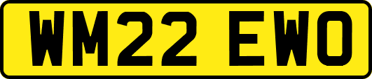 WM22EWO