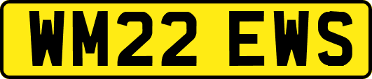 WM22EWS