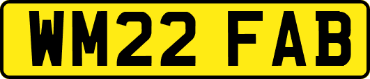 WM22FAB