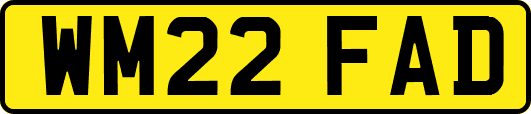 WM22FAD