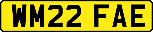 WM22FAE