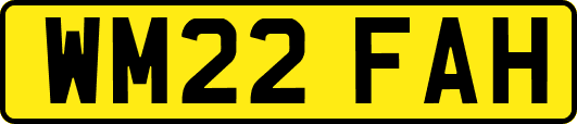 WM22FAH